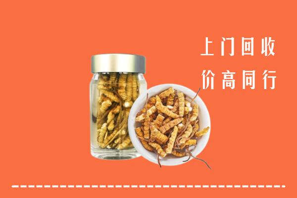 西市区回收冬虫夏草